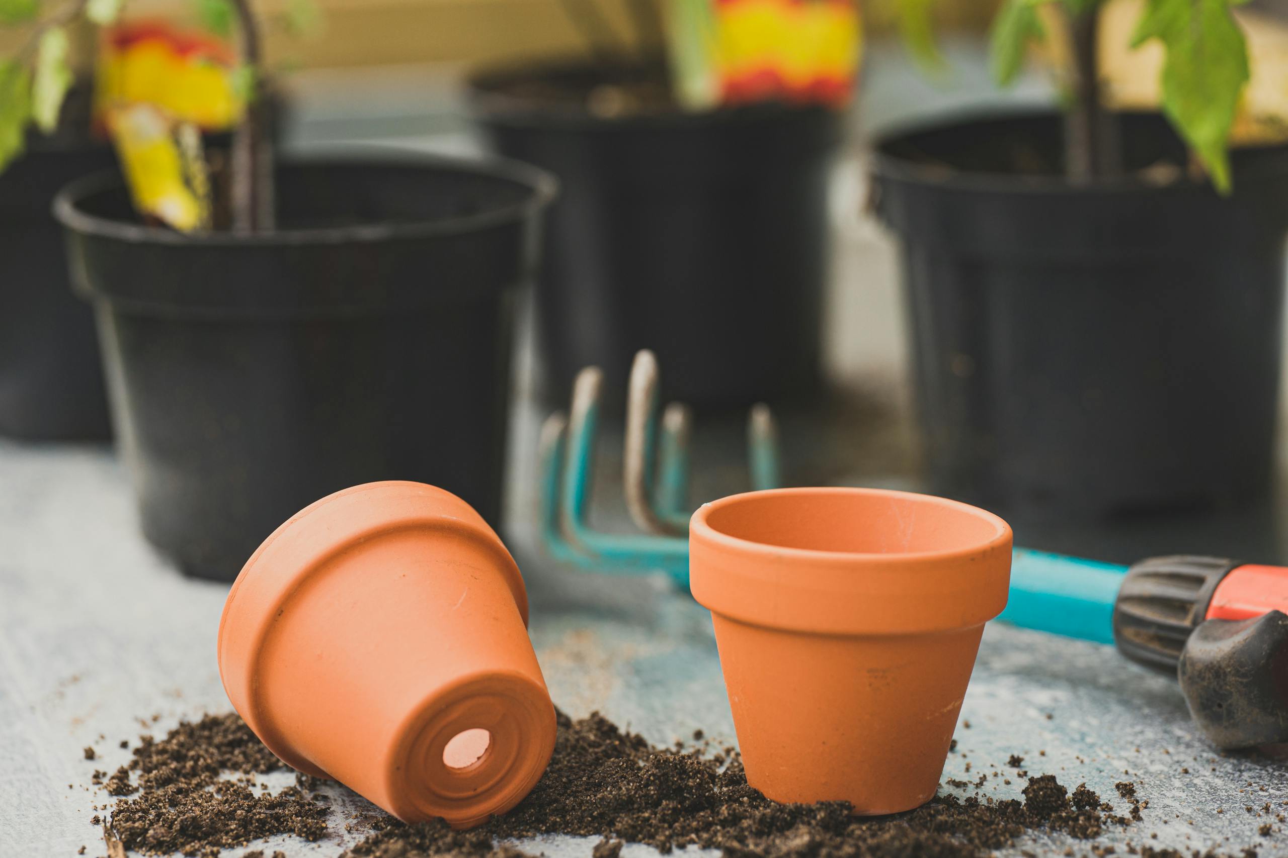Close-up of clay pots and gardening tools in an outdoor setting. Ideal for garden enthusiasts.
